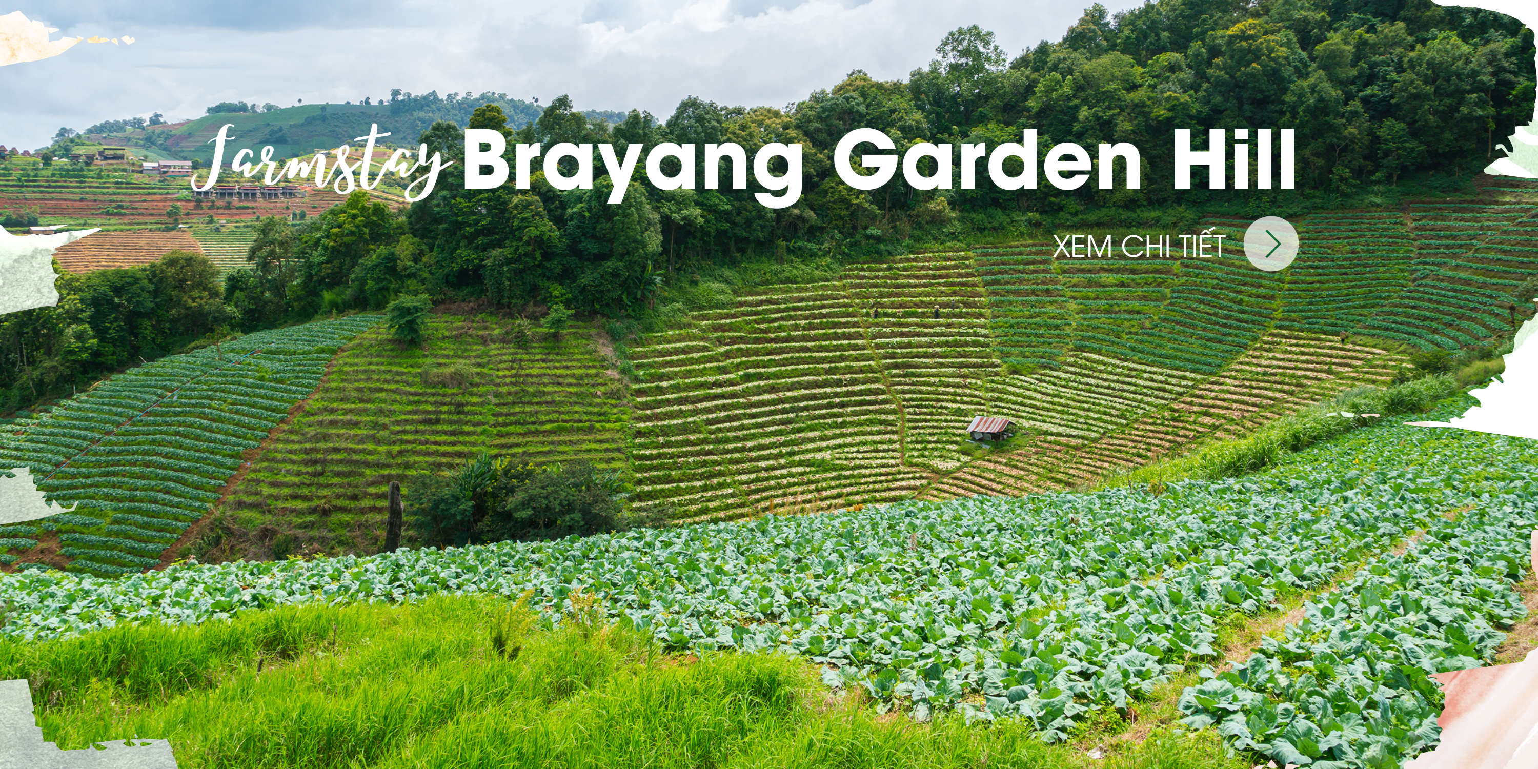 Farmstay Brayang Garden Hill Villas Lam Dong 5