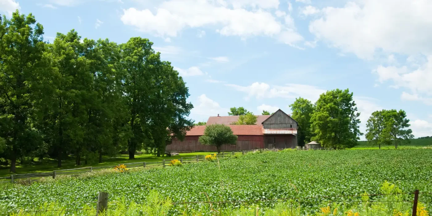 Mô hình farmstay tại Di Linh Lâm Đồng
