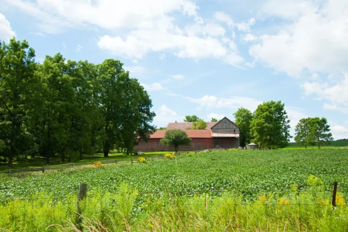 Mô hình farmstay tại Di Linh Lâm Đồng